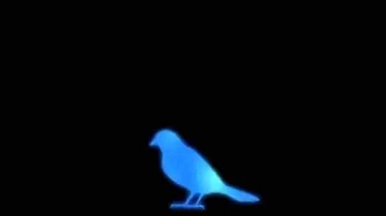 blue_bird